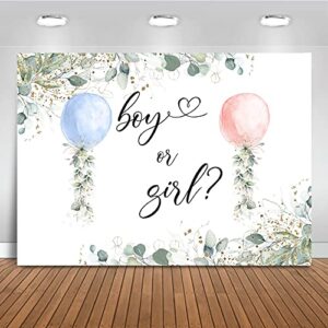 mocsicka watercolor blue or pink balloons backdrop greenery boy or girl gender reveal background botanical eucalyptus gender reveal party cake table decoration banner photo booth props (7x5ft)