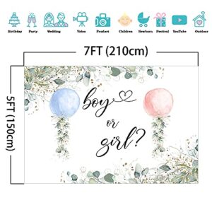 Mocsicka Watercolor Blue or Pink Balloons Backdrop Greenery Boy or Girl Gender Reveal Background Botanical Eucalyptus Gender Reveal Party Cake Table Decoration Banner Photo Booth Props (7x5ft)