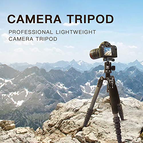 SIRUI Carbon Fiber Travel 5C Tripod 54.3 inches Lightweight Portable Camera Tripod with Ball Head and Arca Swiss Plate Load Capacity Up to 4kg