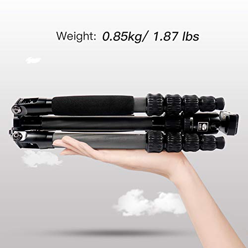 SIRUI Carbon Fiber Travel 5C Tripod 54.3 inches Lightweight Portable Camera Tripod with Ball Head and Arca Swiss Plate Load Capacity Up to 4kg