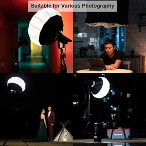 Aputure Lantern Softbox Soft Light Modifier,26inch, Quick-Setup Quick-Folding Aputure Space Light Upgraded for Aputure 300D Mark II 120D 120T 120D Mark II 300X and Other Bowens Mount Light