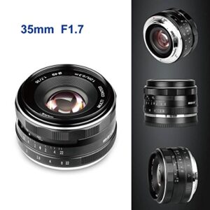 Meike 35mm F1.7 Large Aperture Manual Focus Prime Fixed Lens APS-C Compatible with Sony E-Mount Mirrorless Cameras NEX 3 3N NEX 5R NEX 6 7 A6600 A6400 A5000 A5100 A6000 A6100 A6300 A6500 A3000