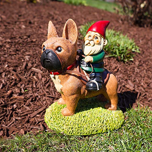 Kwirkworks Garden Gnome - French Bulldog Lawn Statue Figurine - 9 inches Tall