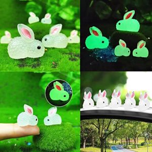 HYG 30 Pieces of Mini Resin Luminous Rabbit Mini Portrait Mini Fairy Garden Landscape Aquarium Decoration Potted Plant Decoration DIY Christmas Birthday Party Slime Amulet. (Luminous Rabbit)