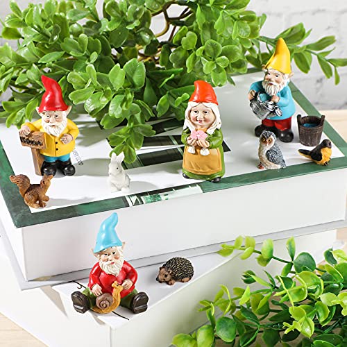10 Pieces Mini Fairy Gnomes Statue Garden Accessories Kit Miniature Garden Resin Gnomes Hand Painted Squirrel Hedgehog Owl Bird and Bucket Ornament for Plant Pots Yard Lawn Home Outdoor Decorations