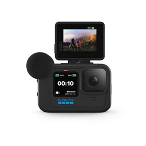 GoPro Display Mod - Official Accessory, 1080p