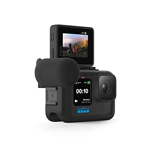 GoPro Display Mod - Official Accessory, 1080p