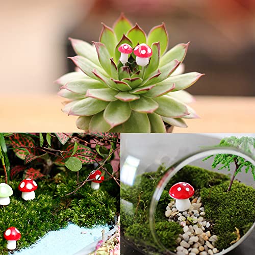 JKanruh 80 Pcs Tiny Mushrooms,Miniature Mushrooms,Fairy Garden Moss Landscape Ornaments for Outdoor Decoration,Home Décor (red)