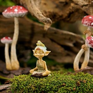 Top Collection Miniature Fairy Garden and Terrarium Pixie Meditating with Frog Figurine