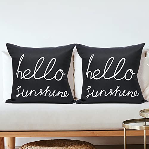 JYVNCZ Outdoor Pillows Covers for Patio Furniture 18x18 Inch Fall Patio Seating Pillow Cover Hello Sunshine Set of 2 for Chair Cushions Couch (Black)