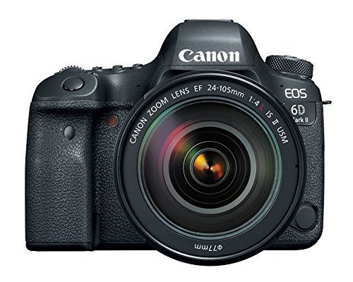 Canon EOS 6D Mark II DSLR Camera with EF 24-105mm USM Lens, WiFi Enabled