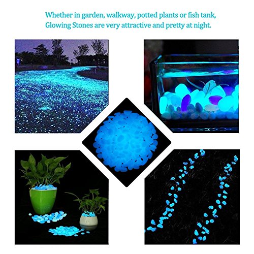 chic style 4.8Lbs 1000Pcs Glow in The Dark Stones Pebbles Blue