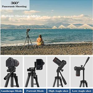 KINGJOY 75" Camera Tripod for Canon Nikon Cell Phone Aluminum Monopod Tripod with Remote Shutter Phone Mount and Carry Bag Max Load 11LB