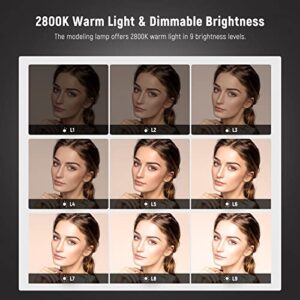 NEEWER 600W Photography Studio Strobe Flash Kit: 2xUpgraded S101-300W 5600K Monolight GN58 with Bowens Mount, 2xSoftbox, 1xRT-16 Trigger, 2xUmbrella, 1xReflector for Portrait Product Photo