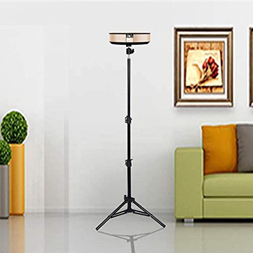 Projector Tripod Stand, Portable Tripod Mount Floor Stand, Folding Floor Tripod Stand, Outdoor Stand for Projector,Camera, Webcam 18" to 40" (Withstand 3pounds 1.5kgs)