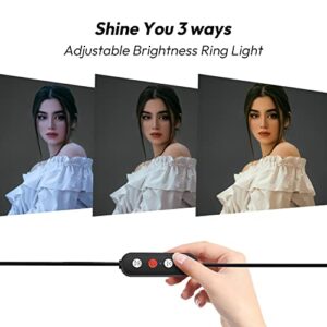 Weilisi 6.5'' Ring Light for Computer, 3 Light Modes Video Conference Lighting, Mini Ring Light for Laptop, Webcam Light, Zoom Light, Desk Ring Light, Selfie Ring Light