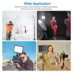 Neewer Ultra-Thin LED Soft Light Panel with LCD Display, Built-in Lithium Batteries, Dimmable Bi-Color 3200-5600K CRI95+ On Camera Video Light for Photography YouTube TikTok Live Stream Zoom Meeting