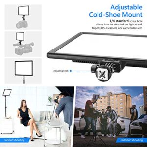 Neewer Ultra-Thin LED Soft Light Panel with LCD Display, Built-in Lithium Batteries, Dimmable Bi-Color 3200-5600K CRI95+ On Camera Video Light for Photography YouTube TikTok Live Stream Zoom Meeting