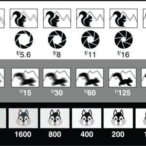 DSLR/mirrorless Photography Cheat Sheets Credit Card Size Reference Card Fits in Pocket/Wallet/Camera Bag. Aperture, Shutter Speed, Exposure Triangle & Manual Mode, for Canon, Sony & Nikon