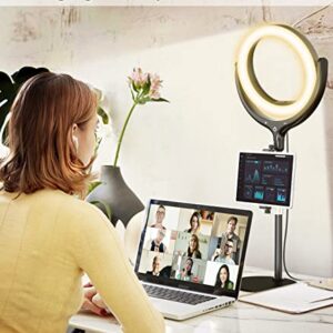 Ring Light with Stand and Phone/Ipad Holder, 10.5'' Desk Zoom Lighting for Computer, Laptop Light for Video Conferencing, Zoom Meetings, Live Streaming, Makeup, Video Calls, Vlog, YouTube, TikTok