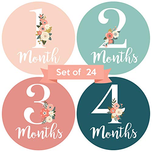 Baby Monthly Stickers | Floral Baby Milestone Stickers | Newborn Girl Stickers | Month Stickers for Baby Girl | Baby Girl Stickers | Newborn Monthly Milestone Stickers (Set of 24)