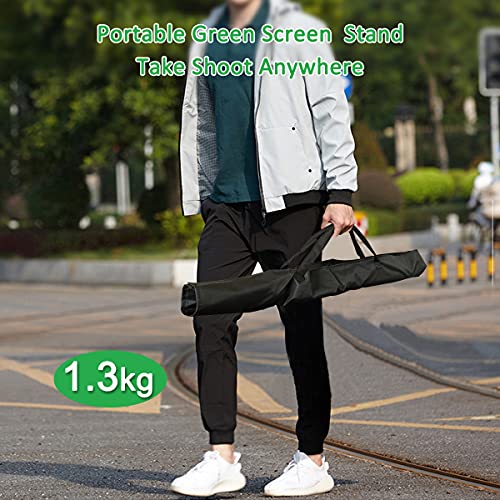 Heysliy 6.5 X 9.6 FT Green Screen Backdrop Kit with 6.5 X 6.5 FT Portable Backdrop Support Stand, Greenscreen Kit Stand with Green Cloth and 4 Spring Clamps, for Photoshoot Streaming Zoom Gaming