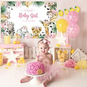 Jungle Safari Baby Shower Backdrop for Girls Wild Animals A Sweet Baby Girl is On Her Way Baby Shower Party Decorations Floral Greenery Photography Party Cake Table Photography Background 5X3Ft