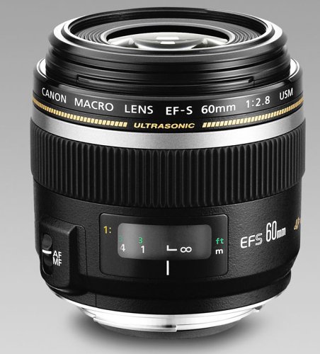 Canon EF-S 60mm f/2.8 Macro Lens