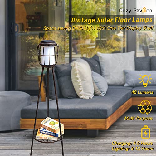 Floor Lamp Outdoor Waterproof Solar Outside Lamps Floor Lights Plant Outdoor Stands Solar Yard Lanterns for Patio, Deck, Porch, Lawn, Garden (2 Pack, Bronze)