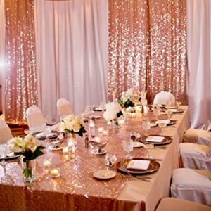 2Pcs 3Ft x 8Ft Rose Gold Sequin Backdrop Curtain, Glitter Photography Background, Sequence Xmas Thanksgiving Backdrop for Wedding Party Holiday Festival Decor…