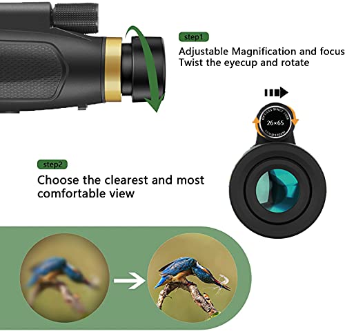 AYRAVIIO 12×60 Monocular Telescope with Smartphone Holder & Upgraded Tripod, High Powered SMC & BAK4 Scope for Adults, Birthday Gifts for Men Dad Him Husband Boyfriend, Gadgets for Birdwatching