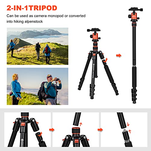 GEEKOTO 58” DSLR Tripod, Compact Aluminum Alloy Lightweight Camera Tripod with 360 Degree Panorama Ball Head, Professional Camera Tripod for Travelling, Learning and Working