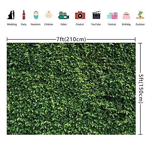 WOLADA 7x5FT Green Backdrop Greenery Wall Backdrop Green Leaves Backdrop Green Grass Backdrop Green Ivy Backdrop Bridal Baby Shower Birthday Wedding Party Backdrops Photo Studio Props 10923