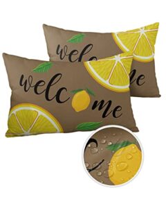 alageo outdoor waterproof pillow covers for patio furniture summer fruit lemon decorative throw pillow cover plant green leaves brown pillowcases set of 2 cushion case for sofa couch chair 20×12 in