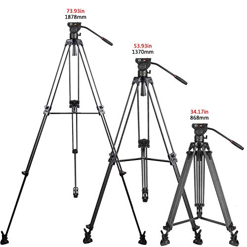 Cayer BV25LH Video Tripod System, 74 inch Carbon Fiber Professional Heavy Duty Camera Tripod Kit, Twin Tube Tripod Leg with K3 Fluid Drag Head, 2 Pan Bar Handles, Max Loading 13.2 LB