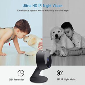 LaView Home Security Camera HD 1080P(2 Pack) Motion Detection,Include 2 SD Cards,Two-Way Audio,Night Vision,WiFi Indoor Surveillance Wired for Baby/pet,Alexa and Google,Cloud Service (US Server)