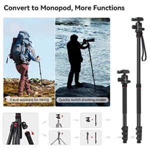 SmallRig 78" Camera Tripod, Foldable Aluminum Tripod & Monopod, 360°Ball Head Detachable and Quick Release Plate, Payload 33lb, Adjustable Height from 18.5" to 78" for Camera, Phone - 3474