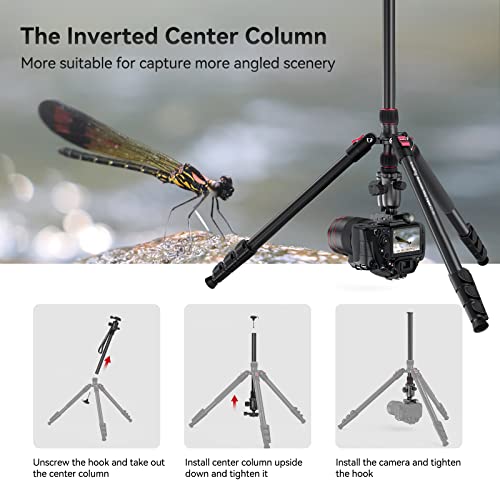 SmallRig 78" Camera Tripod, Foldable Aluminum Tripod & Monopod, 360°Ball Head Detachable and Quick Release Plate, Payload 33lb, Adjustable Height from 18.5" to 78" for Camera, Phone - 3474