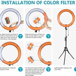 Neewer 18"/48cm LED Ring Light: 52W Dimmable LED Ringlight Makeup Selfie Light Ring with Stand/Soft Tube/Phone Holder/Filter for Camera Phone Photography YouTube TikTok Video Blogging Live Streaming