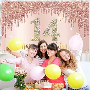 Happy 14th Birthday Banner Backdrop Decorations for Girls, Rose Gold 14 Birthday Party Sign Supplies, Pink 14 Year Old Birthday Poster Background Photo Booth Props Decor