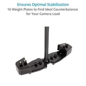 FLYCAM Redking Quick Balancing Video Camera Stabilizer with Dovetail Quick Release (FLCM-RK) | Professional CNC Aluminum Camera Stabilizer for DSLR BMCC Sony Nikon DV Camcorders up to 7kg/15.4lb + Bag