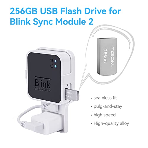 256GB Blink USB Flash Drive for Local Video Storage with The Blink Sync Module 2 Mount (Blink Add-On Sync Module 2 Itself is NOT Included)