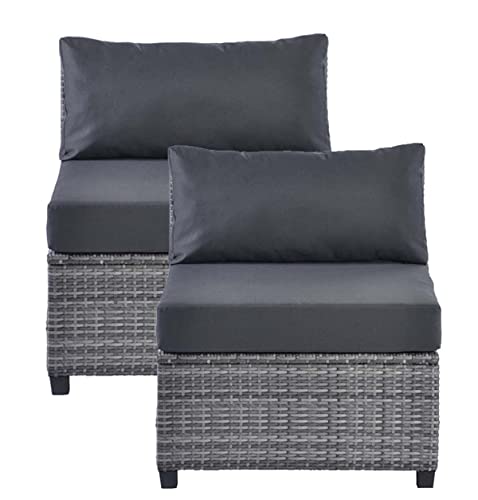 RADIATA Conversation Sets Outdoor Patio Furniture Sofa Set Table Gray PE Rattan Wicker Conversation Sets (2pcs Armless,Dark Grey)