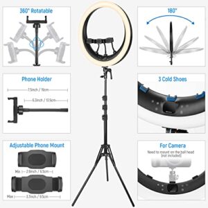 NEEWER 19 inch Ring Light with Stand and 3 Phone Holders, Upgraded 2.4G Control Smooth Dimming at 1%, LCD and Touch Control, CRI 97+ 3000lux, for Streaming Home Office Zoom Call Lighting - RP18H