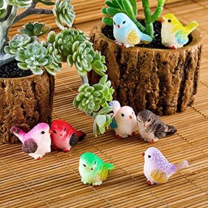 Miniature Bird Figurines Bird Decorative Figurines Dollhouse Simulation Bird Figures Toy Mini Bird Figures Cute Animal Model for Fairy Garden, Miniatures Moss Decoration, Micro Landscape (16 Pieces)