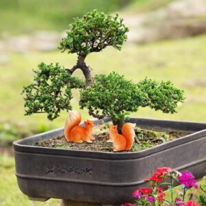 Miniature Garden Figurines Set Cute Drunk Dwarf Garden Gnomes Kit Fairy Resin Statues Decorations with 2 Squirrels