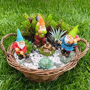 Mood Lab Miniature Garden Gnomes - Working Gnomes Kit of 3 pcs - Figurines & Accessories Set - Outdoor or House Decor