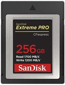 sandisk 256gb extreme pro cfexpress card type b – sdcfe-256g-gn4nn