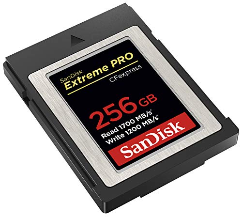 SanDisk 256GB Extreme PRO CFexpress Card Type B - SDCFE-256G-GN4NN