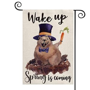 avoin colorlife watercolor groundhog day garden flag 12×18 inch double sided, wake up spring is coming farmhouse yard outdoor decoration